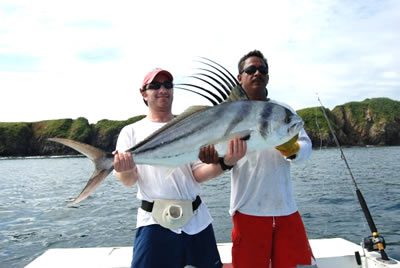 Rooster fishing at the Catalinas islands