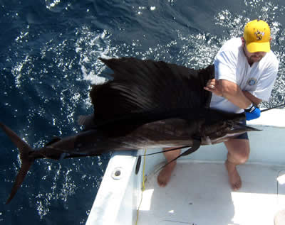 Deep sea fishing from Tamarindo beach
