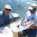 Papagayo Sport Fising catch and release technique