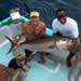 Mister Jimm told us he don't wanted to fish any big fish like the day before(two sails, two marlin, 3 mahi), but we can't make nothing for him