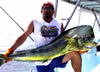 Mahi-Mahi, Guanacaste fishing charters