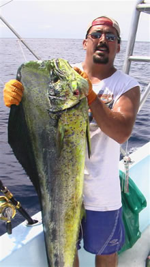 Guancaste fishing charters for mahi-mah, dorado