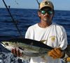 Yellowfin Tuna, Guanacaste fishing charters