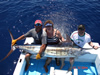 Marlin, Guanacaste fishing charters