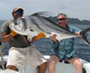 Rooster, Guanacaste fishing charters