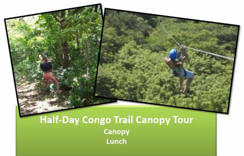 Papagayo Canopy Tours at Buena Vista Lodge