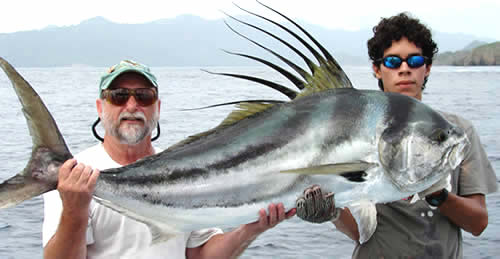 Rooster fishing in Papagayo