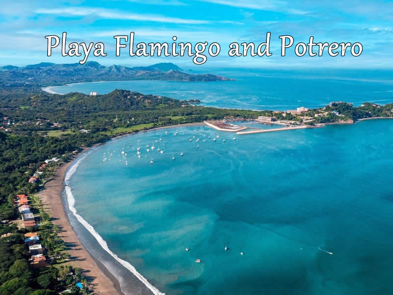 Pick up by boat from Playa Flamingo and Potrero Guanacaste Costa Rica