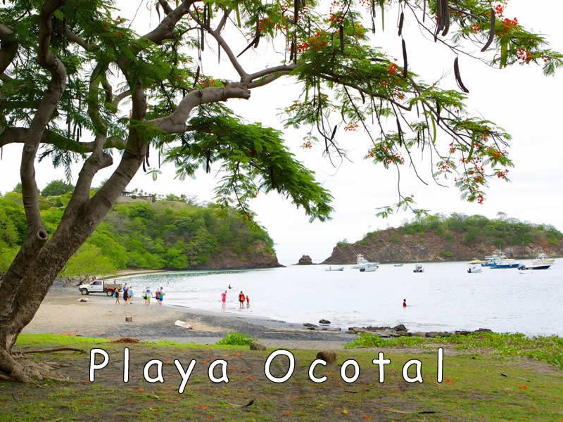 Pick up by boat from Playa Ocotal Guanacaste Costa Rica