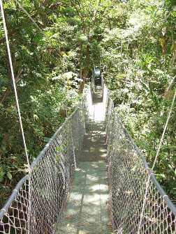 Hanging Bridge near Papagayo fishing charter region