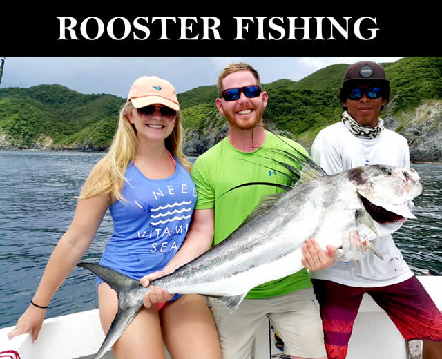 Papagayo rooster fishing charter