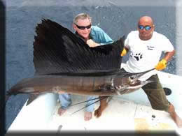 Papagayo fishing charters, sail fishing
