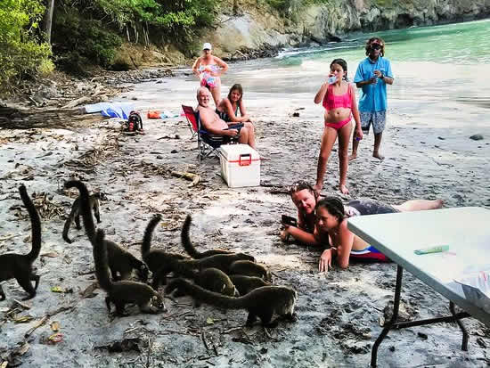 Guanacaste Beach BBQ and Fishing - wild life sightseeing