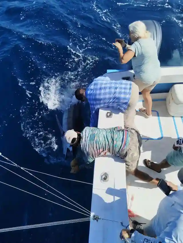 Bertram boat Papagayo Costa Rica