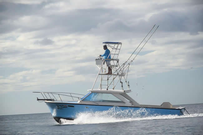 Fishing near Dreams Las Mareas on the Dream Fisher fishing boat