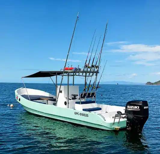 panga 28ft