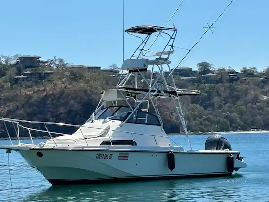 Boston Whaler fishing boat Papagayo