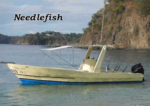 Fishing near Dreams Las Mareas on the Needle Fish boat