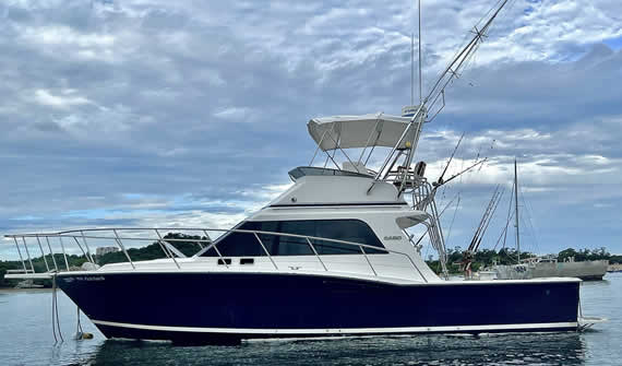 Cabo boat 35ft Flamingo