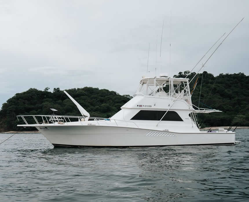 Viking 50ft boat papagayo