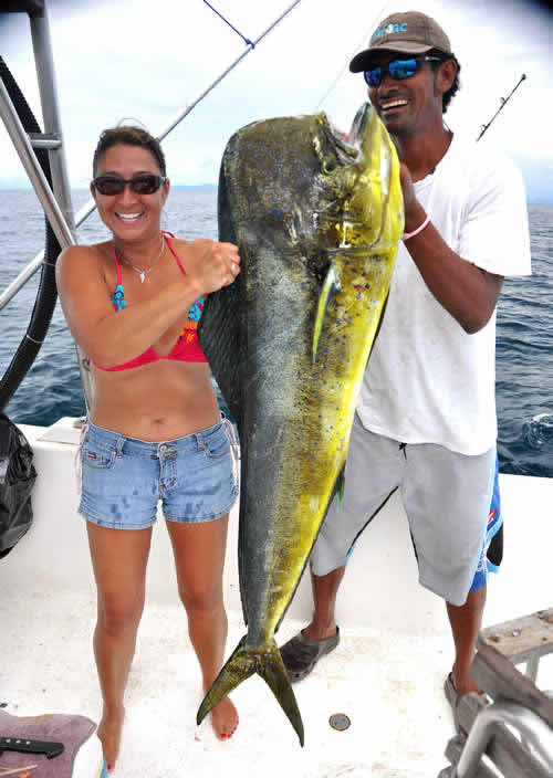 Dorado - mahi mahi fishing in Papagayo